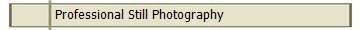 Professional Still Photography
